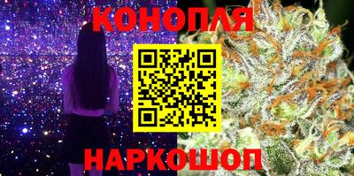 Альфа ПВП Донской