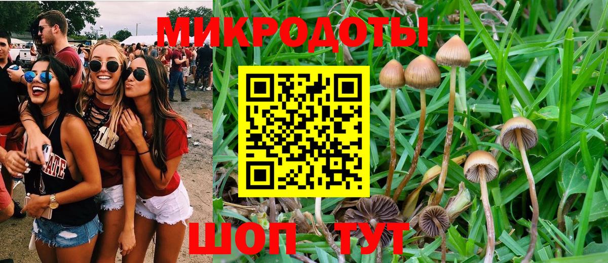Лосино-Петровский  Псилоцибиновые грибы мицелий  Вход с VPN 