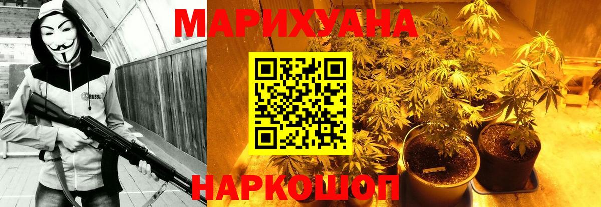 Марихуана сатива Лосино-Петровский